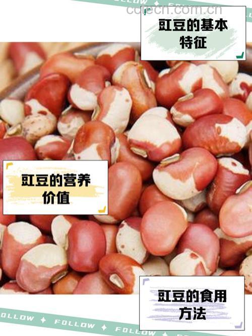豇豆苦瓜原料和做法步骤