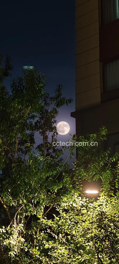 晚上吃什么水果减肥