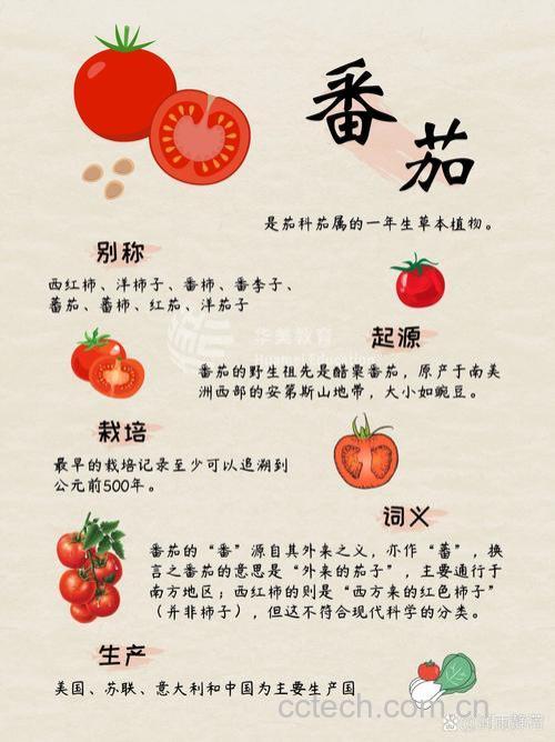 西红柿的由来