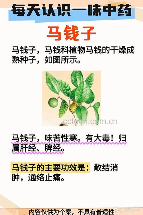 马钱子的功效与作用