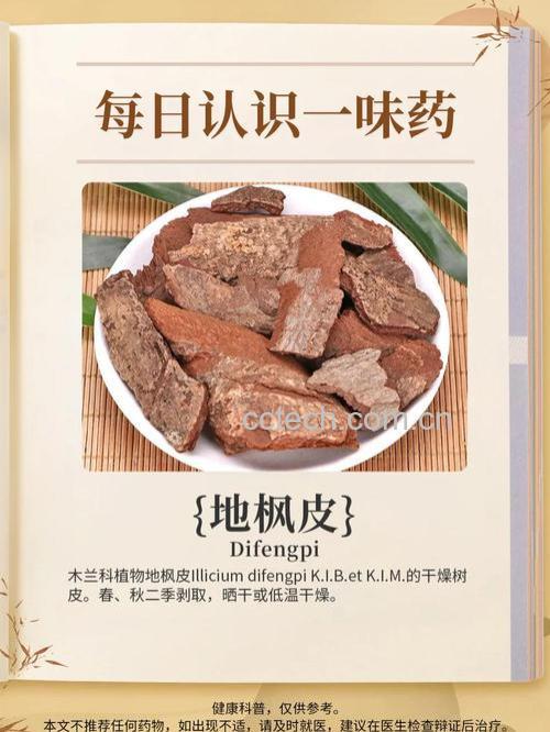 地枫皮的功效与药用价值