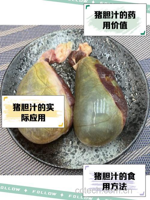 猪胆汁的功效与作用