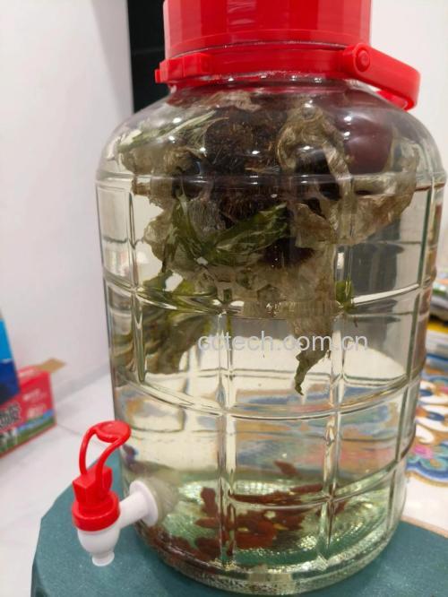 雪莲花泡酒的功效与作用