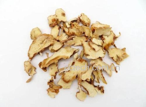 知母的功效与作用及食用方法