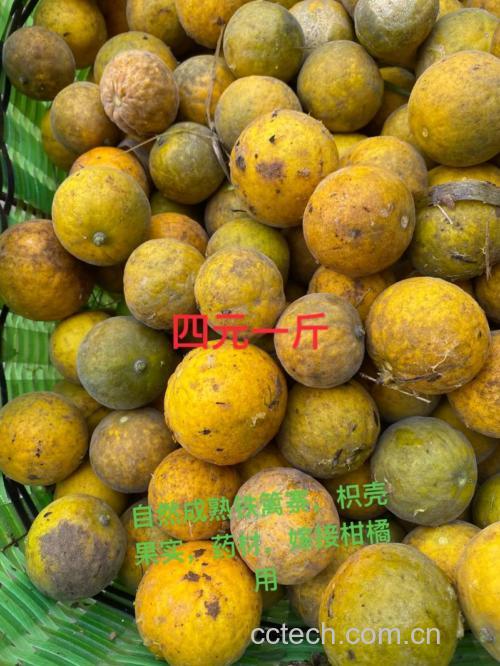 枳壳的功效与作用及禁忌