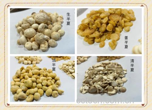 制半夏的功效与作用及药用价值