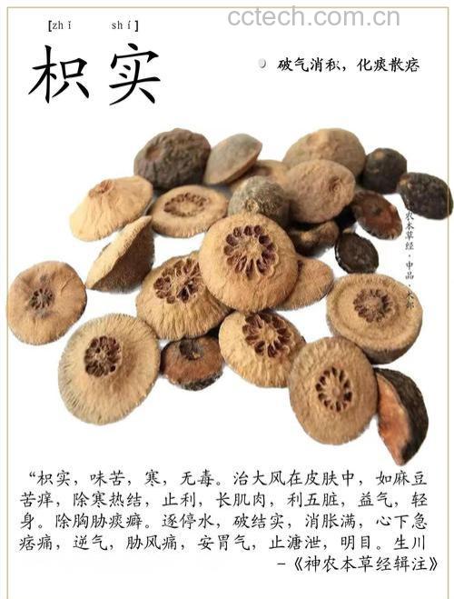枳实的作用与功效 枳实的药用价值