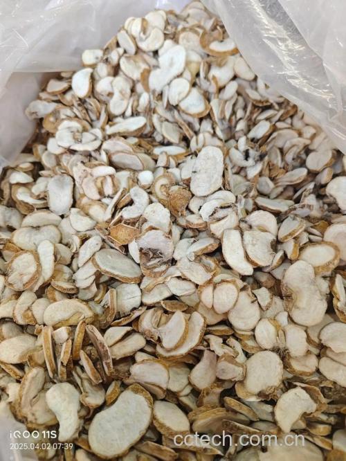 浙贝母的功效与作用及禁忌