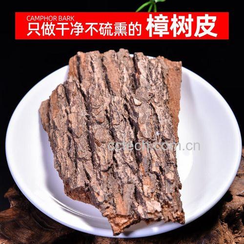 樟树皮的功效与作用 樟树皮怎么用