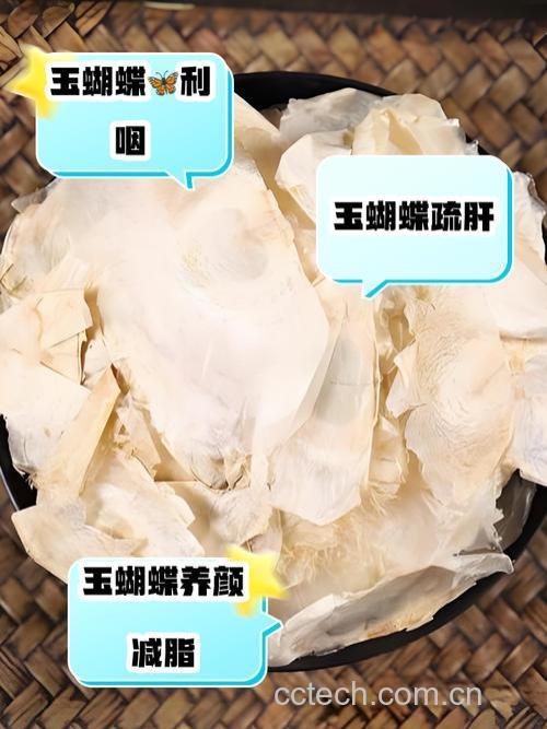 玉蝴蝶的功效与作用及药用价值