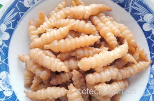 地环有什么营养价值