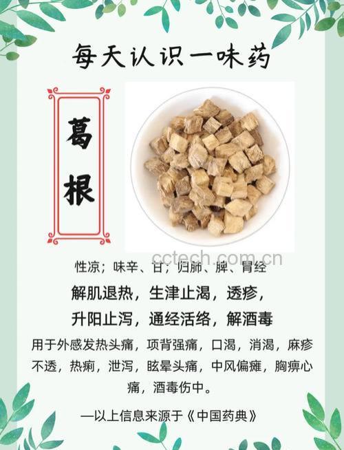 葛根的作用与功效 葛根的药用价值