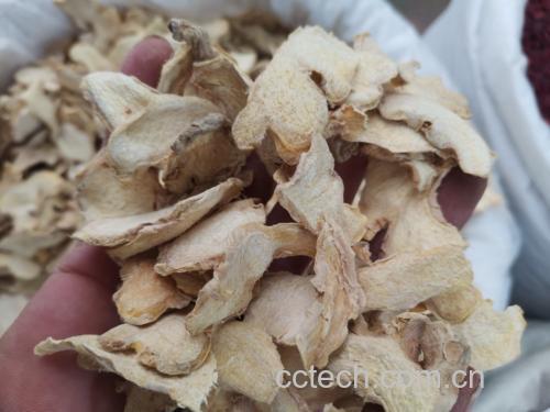 小黄姜与大白姜对比检测图谱