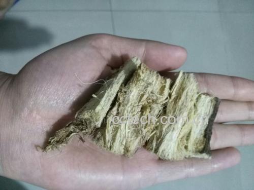 优质葛根与西洋参对比图