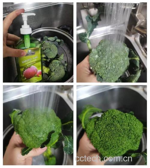 西芹清洗与处理过程