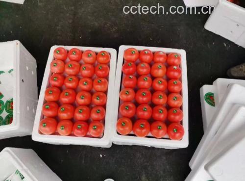 硬粉西红柿与豆腐鸡蛋汤成品图