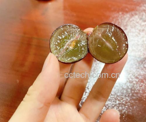 葡萄果肉与果皮结构图
