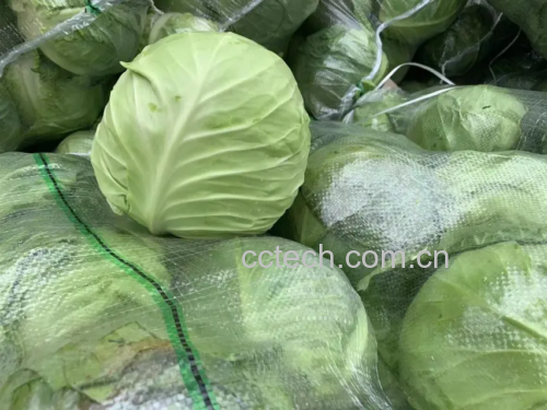 羽衣甘蓝在超市中的销售场景