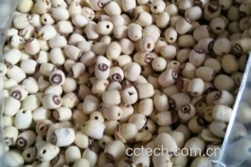 白莲子与多种食材搭配示意图
