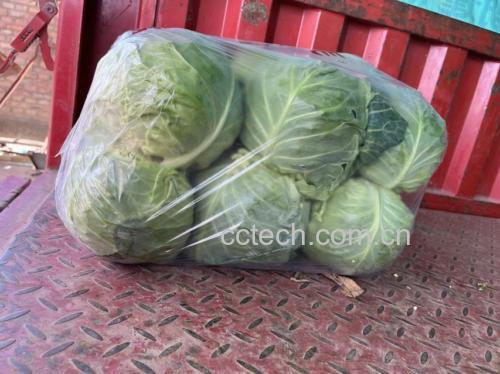 配图描述:新鲜扁包菜和干扁粉整齐摆放在案板上,旁边有蒜末、姜丝和干辣椒