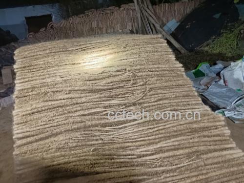怀山药横切面特写：呈现细腻乳白色质地与均匀分布的浅褐色维管束点