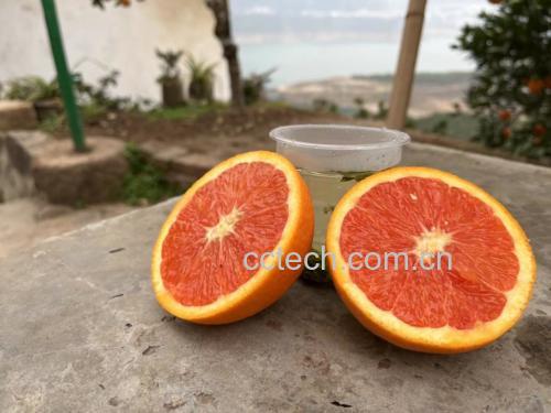 冰糖炖脐橙成品图