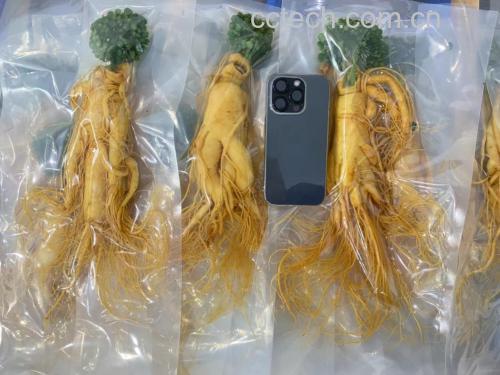 保鲜参清洗与保鲜液废弃操作流程图