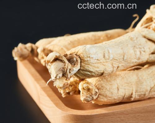 海马与生晒参的原材料摆放示意图