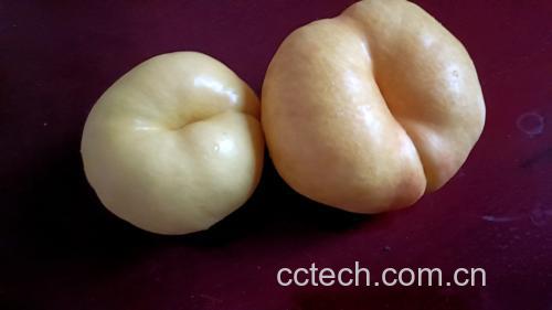 中油100油桃切开图