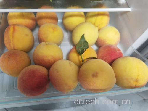 黄油桃冷藏示意图
