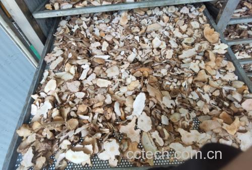 粉葛与土茯苓实物图