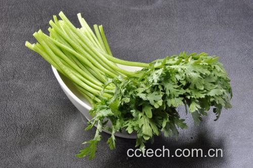 家庭厨房蒸制场景:青花瓷盘盛装翠绿蒸茼蒿,茎叶完整无萎蔫,表面零星点缀黑胡椒粒与山楂醋液滴,背景为不锈钢蒸锅与计时器显示7:30