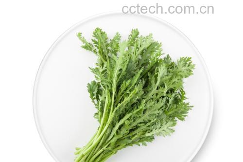 家常清炒茼蒿成品图