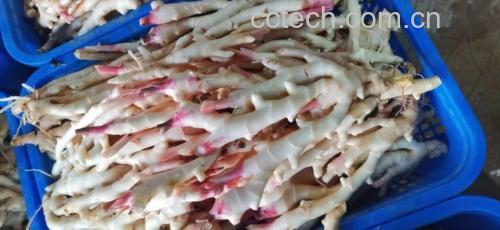 剁椒生姜成品摆盘图