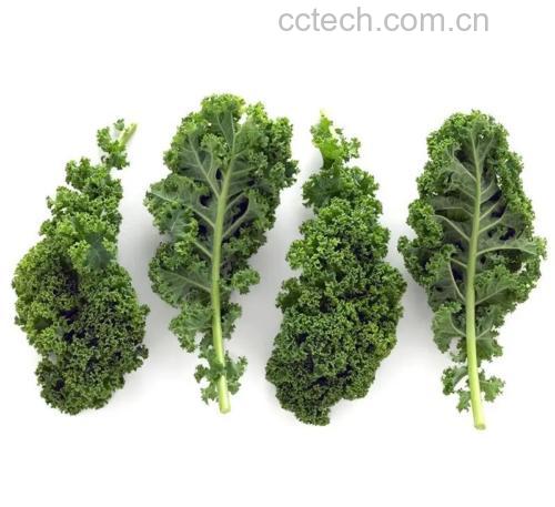 羽衣甘蓝青瓜汁的原材料