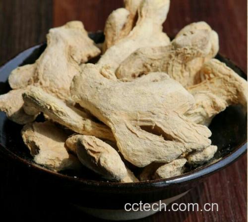 中医师在实验室用HPLC检测子姜提取液中6-姜辣素含量,背景为标准曲线图与肝细胞培养皿