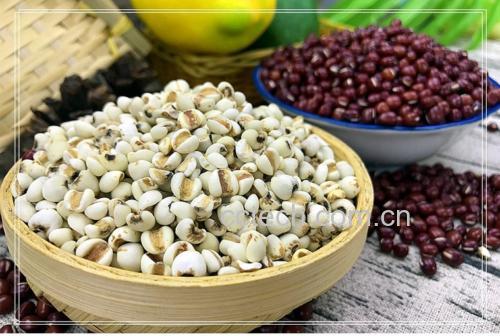 白扁豆药膳成品图:乳白色软糯白扁豆薏米粥盛于青瓷碗中,表面撒少量陈皮丝与枸杞,热气氤氲,体现温补而不燥的食养理念
