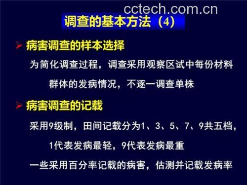 库尔勒香梨横径与营养品质相关性折线图：X轴为横径分组（6.5–7.0cm / 7.1–7.5cm / 7.6–8.0cm / 8.1–8.5cm），Y轴双坐标显示维生素C含量（左，mg/100g）与石细胞团平均直径（右，μm）