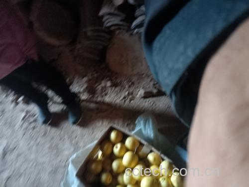 家庭中老人正在剥开黑色外皮的冻酸梨子