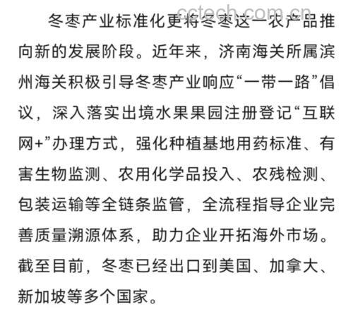 青枣田间采摘与冷链分拣现场