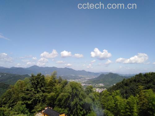 赤灵芝种植基地实景图