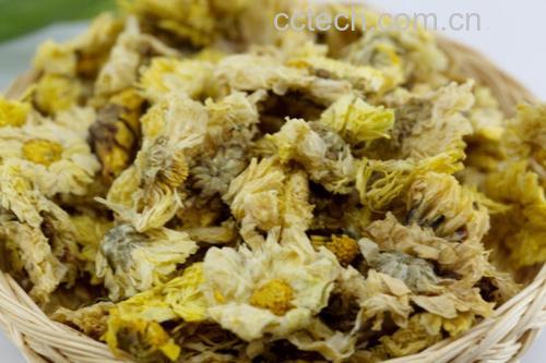 野菊花与其他菊花对比图