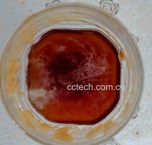 玻璃发酵罐中的黄桃果酒发酵过程