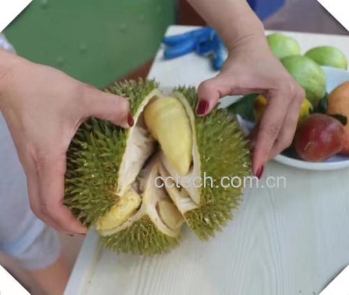 榴莲核烹饪过程图