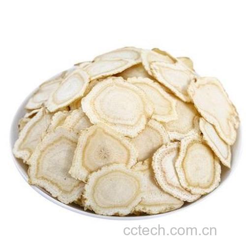 新鲜西洋参特写