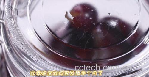 车厘子正确储存对比示意图
