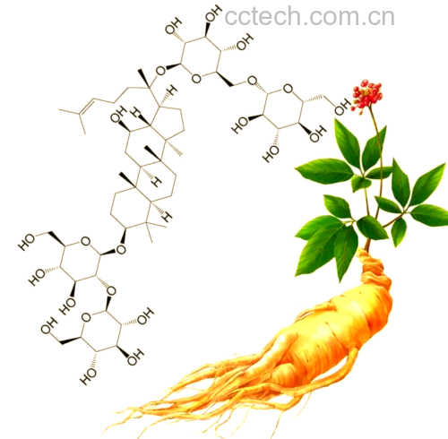 人参皂苷分子结构图