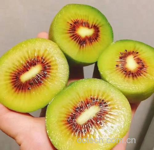 温网草莓奶油三种科学食用方式对比图
