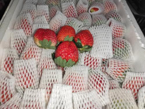 草莓奶油盒子成品展示