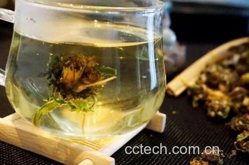 松红梅草本茶冲泡过程